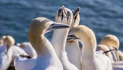 kaiyun官方网站-体育新闻中心发布智慧场馆内容发布全景解决方案，体育场馆智慧化服务的体现