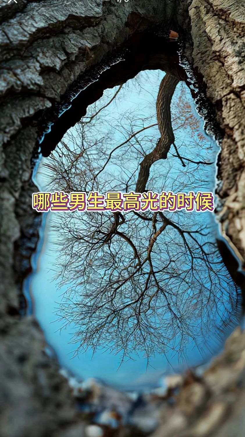 高光集锦：那些令人振奋的精彩瞬间！的简单介绍
